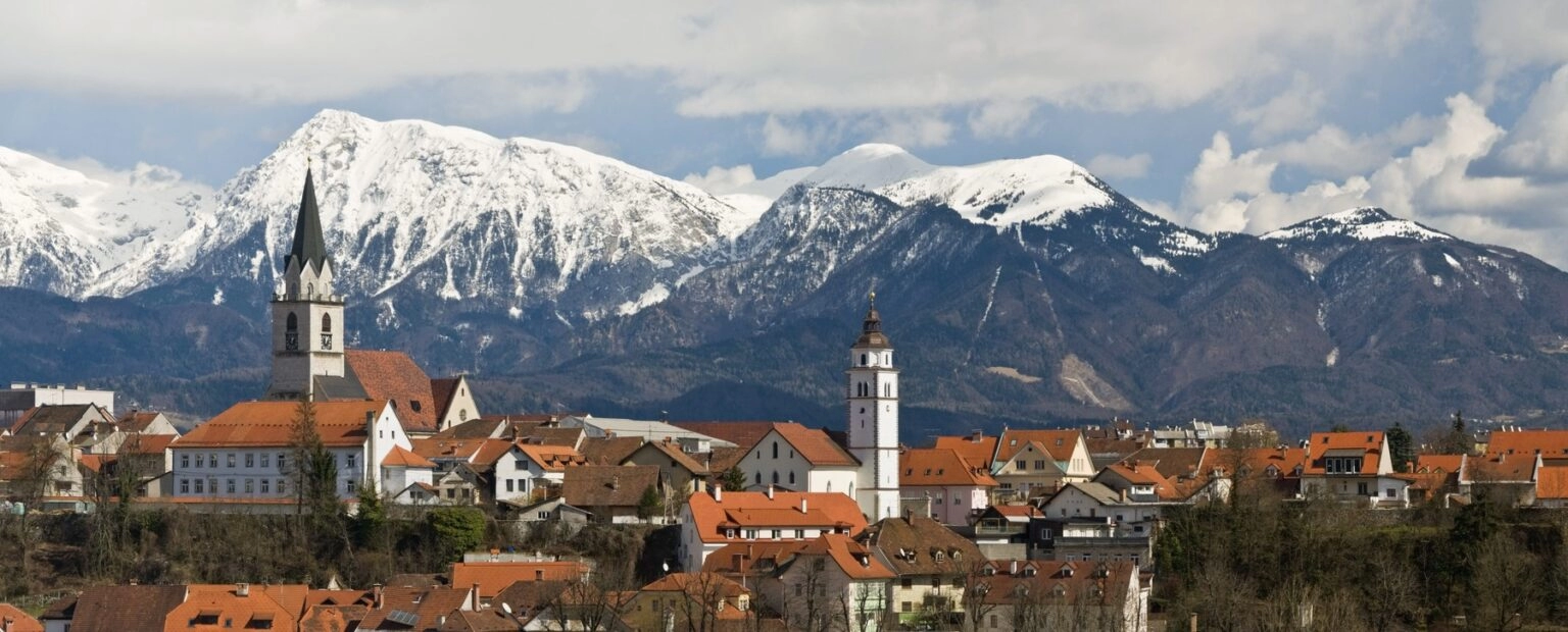 Bolest plavog jezika zvanično potvrđena u Sloveniji